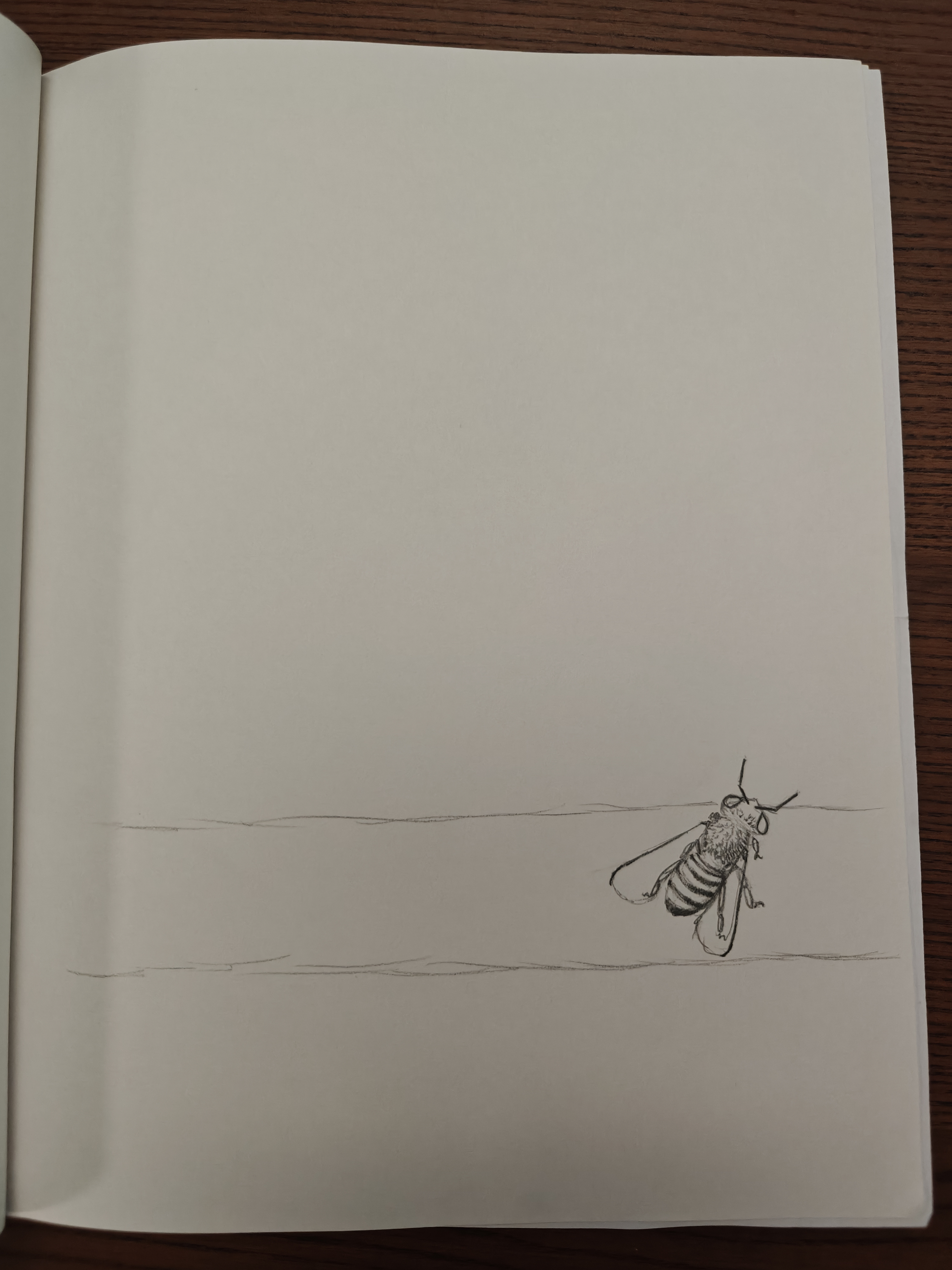 pencil